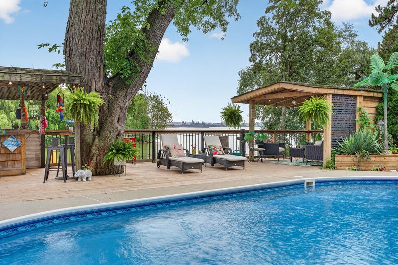 The pool and the lounge deck under the old maple